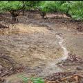 雨水不斷沖刷，導致土壤不斷流失。圖片來源：屏東環盟