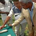 非洲綠色革命聯盟董事長的前聯合國秘書長安南（右）正在檢查玉米的種子。圖片來源：AGRA