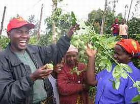 這項措施將使肯亞小農擺脫貧窮，並建立可行的營運模式。圖片來源：Pride Africa
