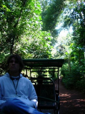 遊客搭乘電動列車悠遊森林小徑。圖片提供：kay