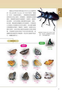 本書在總論概述蝴蝶及食草相關百科知識，如蝴蝶分類，蝴蝶生態史及植物基本構造等。圖片來源：晨星出版社