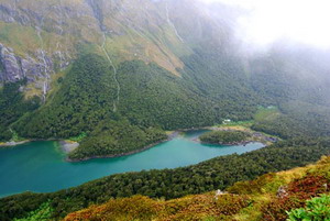 峽灣國家公園是紐西蘭面積最大的國家公園，保留原始自然生態。圖片提供：小葉子