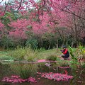 奧萬大生態池；圖片提供：農委會林務局