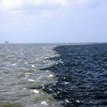 美密西西比河在路易斯安那州和德州海岸線外匯集成死海區。圖片來源：USGS