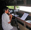 學生在教育中心觀賞外圍鳥類。圖片提供：世界自然基金會香港分會網站