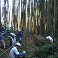 日本明日香景觀保存志工協會號召志工整理荒廢竹林、植樹及步道整建。