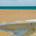 污染的河水排放入大海，對海岸造成另一種衝擊。（圖片來源：台南社區大學）