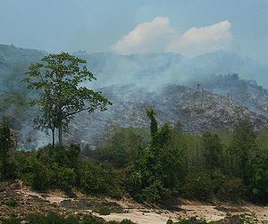寮國為開發農業而焚燒森林。攝影：Fritz Stugren