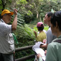 陳文彬老師為大家詳細解說植物生態。