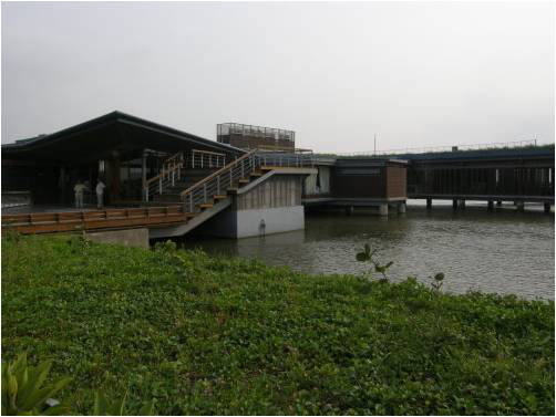 黑面琵鷺保育中心 