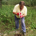 BOB正努力掘出一公尺深的洞以插入木樁