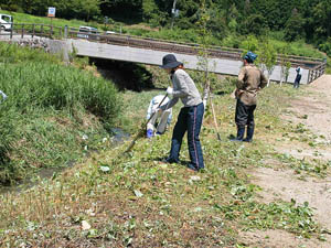 志工們整理飛鳥川兩岸的雜草。