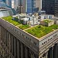 芝加哥市政府的屋頂綠化（圖片來源：ENS）