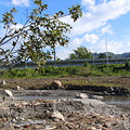 辛樂克後的C608標生態池基地；攝影：倪宏坤，2008年9月23日 