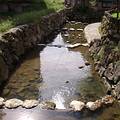 以小石頭堆砌而成的河岸和刻意設計的魚梯；圖片來源：王郁萱