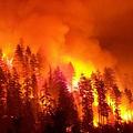 2008年8月6號於加州中南部發生的夜間森林大火 (圖片來源 : Art Gonzales)