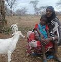 南衣索匹亞民眾面臨2008年乾旱(圖片來源：Trocaire)