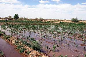乾旱地區發展錯誤的生產方式，是加速沙化的主因。圖片提供：鄧儀