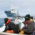 「海洋看守」採用創新的直接行動戰術來進行調查、收集證據，並且必要的時候挺身對抗在公海進行的不法活動，成員正在觀察日本捕鯨船的活動（圖片來源：Sea Shepherd）