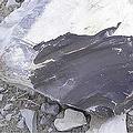 尤因塔盆地（Uinta Basin）採集到的油頁岩（圖片來源：Argonne National Laboratory）