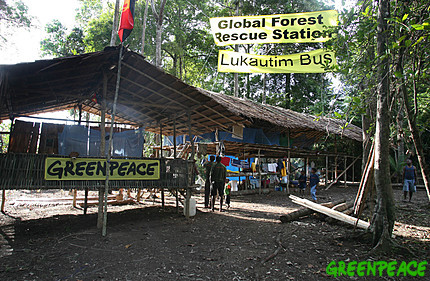 在巴布亞新畿內亞原住民的邀請下，綠色和平的工作人員與來自世界各地的志願在雨林深處建立了「天堂雨林拯救站」，以實際行動阻止跨國伐木公司對雨林的破壞。圖片來源：綠色和平