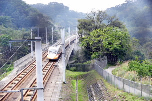 高鐵繞過老樹而行。圖片提供：台灣高鐵公司 