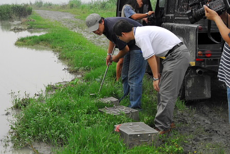  南瑪都颱風過境後河濱公園所捕捉的無毒蛇類處理過程