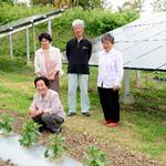 成員們站在青椒園內太陽能面板的前面。後排左邊為主要成員會澤輝小姐。(節錄自朝日新聞)