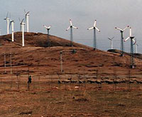 wind China