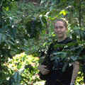 我在咖啡樹叢間。照片版權歸屬：比爾布萊利，西雅圖奧杜邦學會