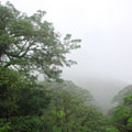 Monteverde Cloud ForestGצ~·¶ԱгyFMonteverdeaLͺAt