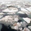 在本世紀末之前，北極圈的夏季可能再也看不到任何一塊冰
