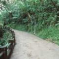 仙跡岩步道