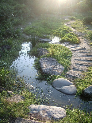 在草澤溼地及湖泊末期溼地之間的小溪溝也是田野鄉間常見的溼地類型