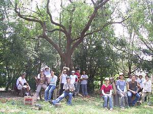 將完成的木造狗、木造馬等等圍成一圈成為「狗狗專用廁所區」。 