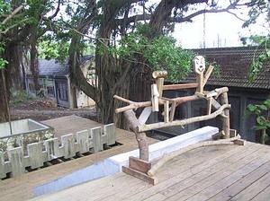 YA!可愛的「安全柵欄」就定位了！