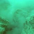 在龜山島的海底下，有許多熱液噴泉口，噴口大量排放出硫磺煙柱與氣泡，不止酸度極高，最高溫度還可達140℃。