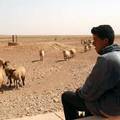 摩洛哥東北部乾旱地區