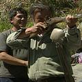 丹大試辦狩獵活動將原住民部落檯面下的狩獵活動，搬上檯面合法化。