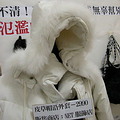 這件在知名連鎖服飾店裡所販售的外套，用到的毛皮包括狐狸和烏蘇里貉。(照片提供：動物社會研究會)
