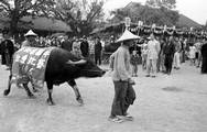 台灣第一次舉辦耕年健康比賽。李壽康1955年攝。選錄自「走過台灣一甲子」