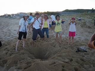 挖出工作人員事先埋好的綠蠵龜卵乒乓球；圖片提供：洪博彥