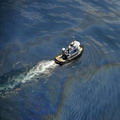 船隻航行穿過墨西哥灣中石油溢散的海面(圖片來源：美國海軍)
