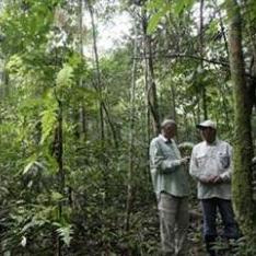 兩位巴西專家正在森林中進行調查。圖片節錄自：REUTERS/Sergio Moraes。