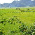 東源水上草原，圖片節錄自「2007鐵人單車環島」