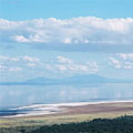 非洲的Manyara湖