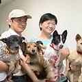 緊急動物救援小組，十年來所救過的狗就超過了三千隻。