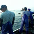 漁民