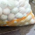 伸港鴨蛋檢驗出含有戴奧辛遭到銷毀