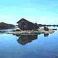菲律賓漢德默漁村海馬養殖站